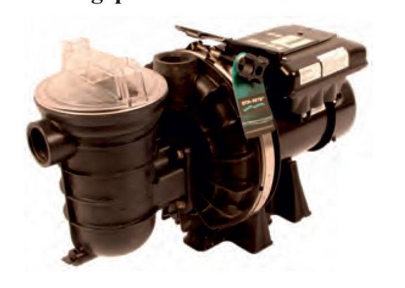 STA-RITE-Pumpe-S5P2R-VS-DURA-1-230-V.jpg 